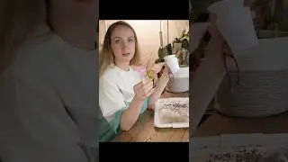 Продолжаю пересадки в минеральный грунт ч1 🌱 #shorts #комнатныерастения