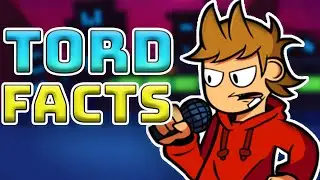 Top 5 Tord Facts in Friday Night Funkin'