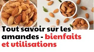 Tout savoir sur les amandes - bienfaits et utilisations | CDT NEWS