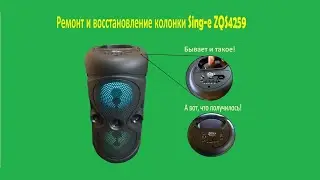 Ремонт и восстановление колонки Sing-e ZQS4259