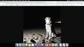 Flutter - OpenAI - ChatGPT - Generando Images y Texto - Parte 1