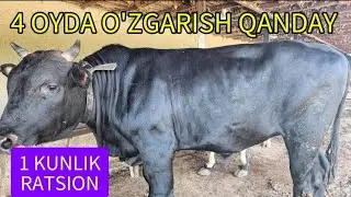 4 OYDA O'ZGARISH QANDAY👍👍👍