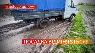 ❌Посадка картоплі 2024 відміняється це ЖЕСТЬ ⁉️