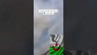الدليل ان نظام الجزائر من يحرق الغابات