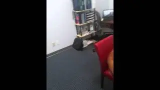 Clean Office
