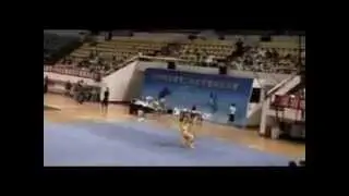 WUSHU MASTERS CHINA