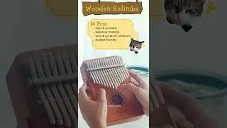 Wooden Kalimba VS Acrylic Kalimba 