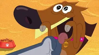 ZIG e SHARKO 🌴 O CÃO BONITO 🐶 Zig e Sharko Brasil | Desenho Animado em português