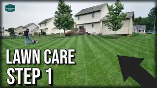 BEFORE You Apply ANYTHING To Your Lawn...Watch This // Lawn Care Step 1