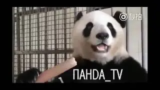 Разоблачение экстрасенсов 2018!!! НОВИНКА!!!