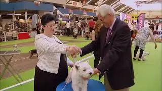 Their dog is the most beautiful in France