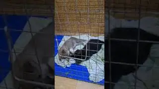 Пока без забот