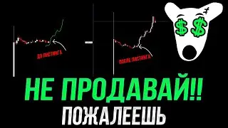 ДОГС после листинга! НЕ ДЕЛАЙ эту ошибку!! 90% уже поспешили!