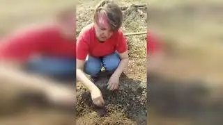 СОВЕТЫ ПО ВЫРАЩИВАНИЮ ЛУКА-БАТУН