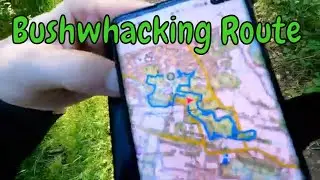 Bushwhacking In Cults Woods. Chico fails walk test.
