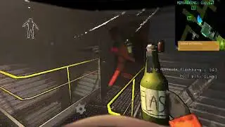 Modded Lethal Company, all the same chaos