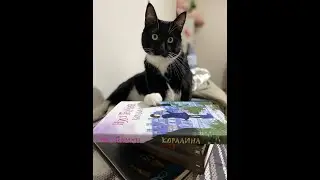 Коралина - обзор книги
