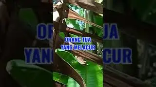 4 JENIS ORANG YANG DIBENCI OLEH ALLAH SWT #shorts #subscribe #videoshort