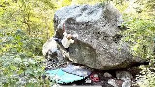 Alzheimer’s Low v11 / 8A  UNCUT