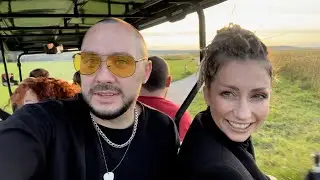 Мураками на КОРПОРАТИВЕ 🎉 Остросюжетный влог #3