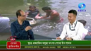 Krishi Darshan - Phone in Live (13/11/2024)