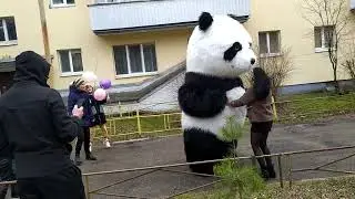 День рождения Василины 11 лет Панда поздравляет
