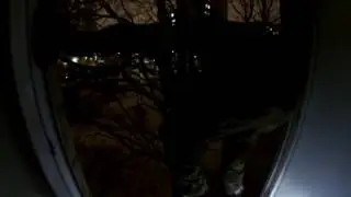 Запал в Роддоме