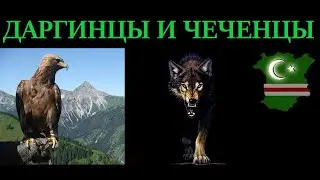 ДАРГИНЦЫ И ЧЕЧЕНЦЫ. ИСТОРИЯ. ДАРГАН, ДАРГАНТИ, НОХЧИЙ. ДАГЕСТАН И ЧЕЧНЯ.
