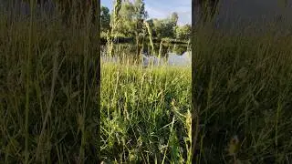 сегодня прогулялись по лесу 😍