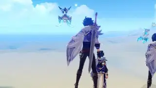 Another genshin video