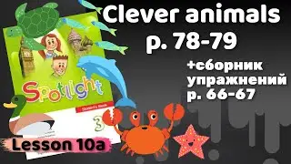 Spotlight 3 / 10a Clever animals p.78-79 / Сборник p.66-67