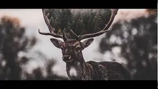 🔥 БЕЗУМНЫЕ фотографии ЗА ПАРУ МИНУТ // EASYPHOTOSOP