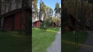 Шишки