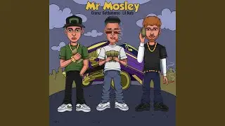 MR MOSLEY (feat. Lil Nate & Getdamemo)