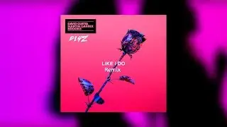 David Guetta, Martin Garrix & Brooks - Like I Do (GL4Z Remix)