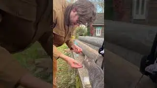 Шутки которые мы заслужили 🤣 #импровизация #антоншастун #импровизаторы