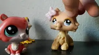LPS-contestando preguntas