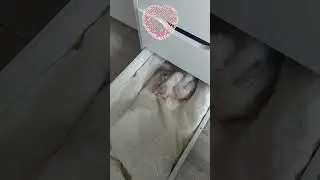 В МОЁМ  РАБОЧЕМ СТОЛЕ  ВОТ ЭТО