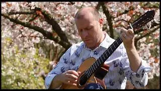 Steve Bean - Sakura Variations