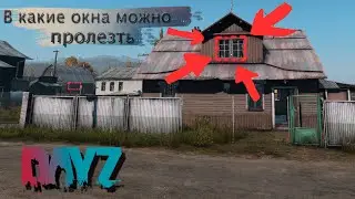 Пролазы через окна | Окна без коллизии | 4К | Баги  фичи | Dayz Standalone