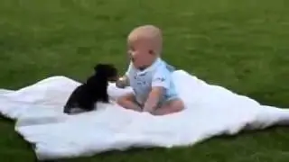 Щенок и малыш