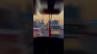 Деловая поездка Дентал Гуру в ОАЭ
