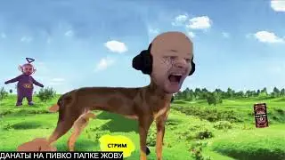 СТРИМ ПО ПОМОЕЧКЕ(ДЖОВ)