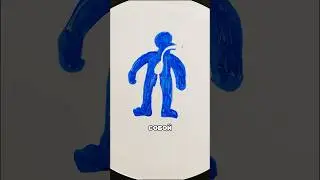 Может ли человек жить в 2D мире? 