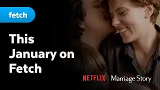 January - Best of Netflix on Fetch