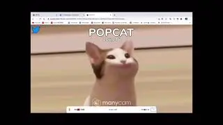 popcat hack popcat外掛 每秒自動點擊超過5000下😱😱😱{腳本已修改目前可以每秒５０００下｝