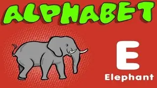 Animal Alphabet, ABC Flash Cards, Animal Sounds Game for Toddlers, Kids, Children