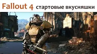 Fallout 4 (starter goodies)