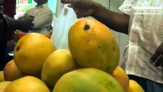 Honey Mango Festival - Trivandrum 2013 - Kanakakunnu Palace