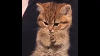 gduyghdyugh